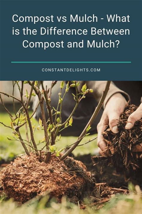 Compost Vs Mulch What Is The Difference Between Compost And Mulch