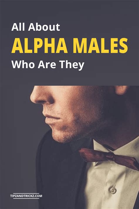 All About Alpha Males Who Are They Tipz And Trickz In 2021 Alpha