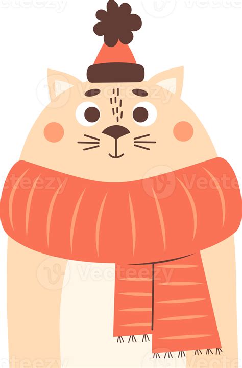 Funny Winter Cat 28802434 Png