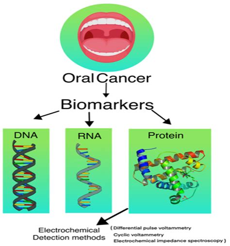 Biosensors Free Full Text Emerging Biosensors For Oral Cancer