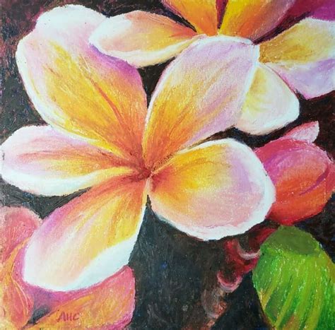 Soft Pastel Oil Pastel Drawings Of Easy Flowers Krysfill Myyearin