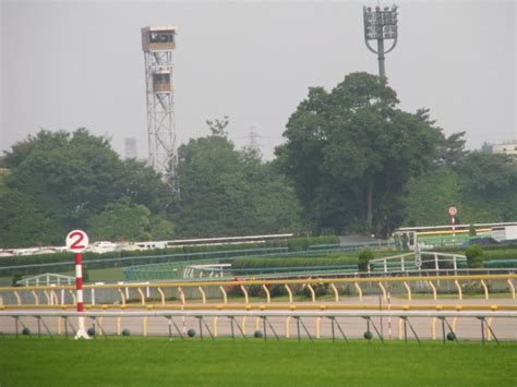 1:57 latebloomer 555 026 просмотров. KANKANの競馬ニュース:（レポート）ウオッカが安田記念を制す ...