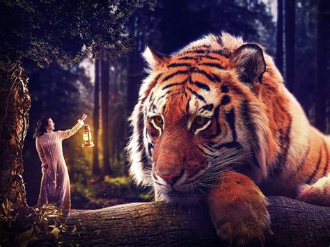 Big Tiger Fantasy Photo Manipulation By Lubana Yeasmin On Dribbble