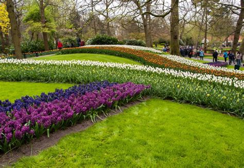 visitors at the keukenhof garden in lisse holland netherlands editorial photography image