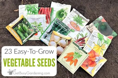 23 Easiest Vegetables To Grow From Seed In 2020 Easy Vegetables To