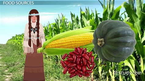 Native American Foods History Culture And Facts Video And Lesson