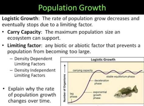 💐 Factors Affecting Population Growth What Are Factors That Affect The