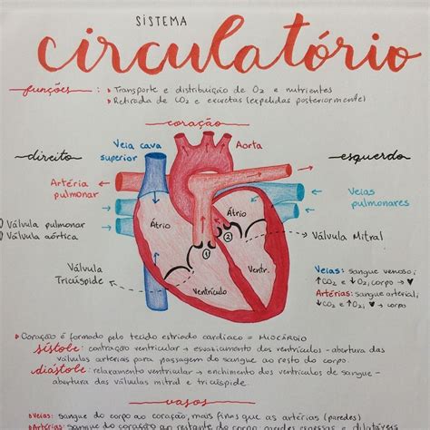 Resumo Sistema Circulatório Skola Medicin