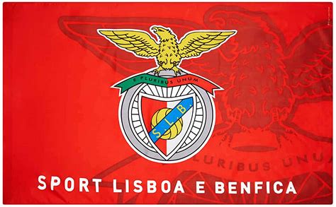 Todas as oportunidades são sempre para aproveitar. Benfica: Two Players Injured In Team Bus Attack - Lahore ...