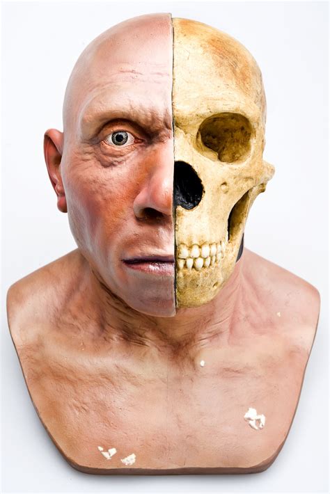 What Will Humans Look Like In The Year