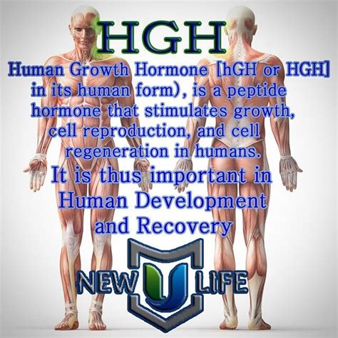 Pin By Hayley Dwyer On Hgh Gel Growth Hormone