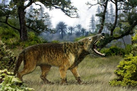 Hyaenadon The Predator With Self Sharpening Teeth Rnaturewasmetal