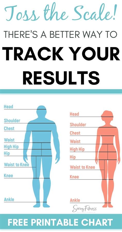 How To Use A Body Measurement Chart Printable For Men Women Body