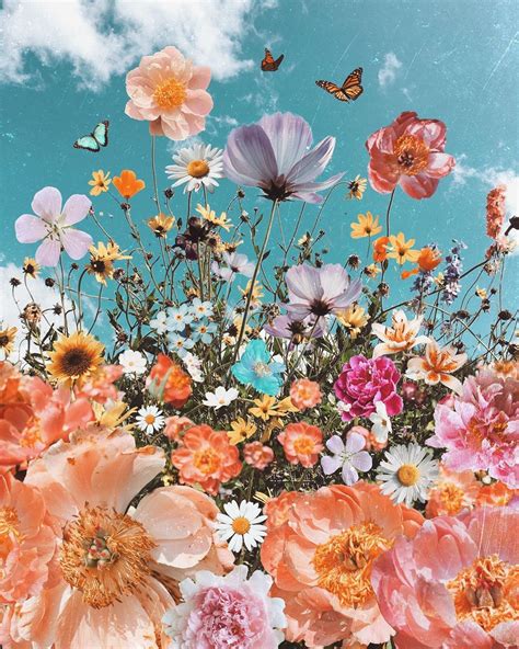 Siobhán Di Instagram 🌸wish Them Flowers Even When They Wish You Rain