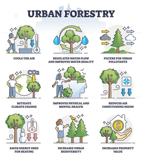 Urban Forestry And Ecological City Gardening Benefits Outline