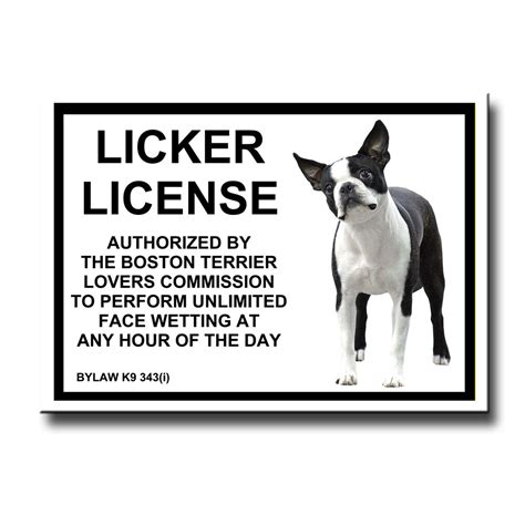 Boston Terrier Licker License Fridge Magnet Funny Dog Ebay
