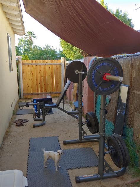Any Love For Outside Home Gyms Backyard Gym Outdoor Decor Backyard