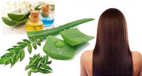 5 Easy And Safe Natural Remedies To Control Hair Fall My Healthy Life Vision