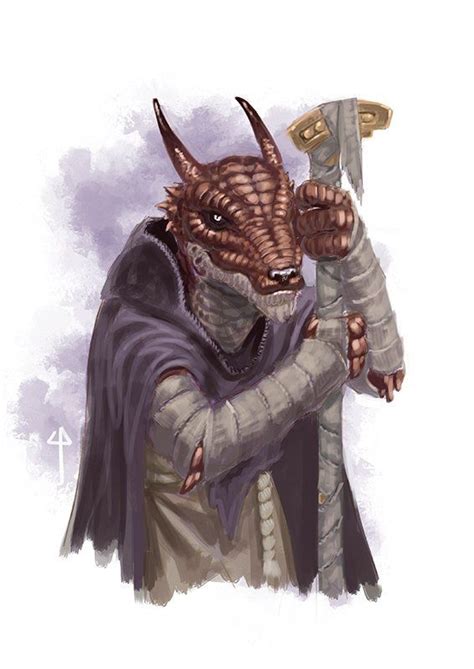 M Dragonborn Sorcerer Robes Cloak Staff Fantasy Character Design