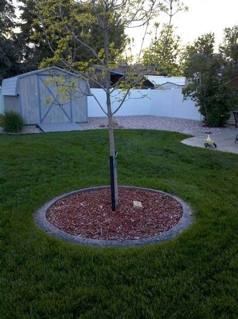 The Best Tree Ring Landscaping Ideas For Your Garden 09 Concrete