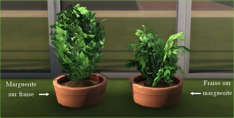 Simplisims Infos Sims 4 Jardinage And Saisons Les Greffes Des Plantes