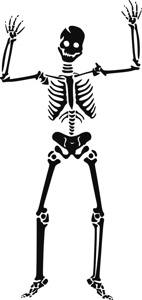 Skeleton, skulls PNG images free download
