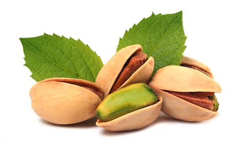 We did not find results for: Pistazien: Gesund und natürlich - LZ Gesundheitsreport