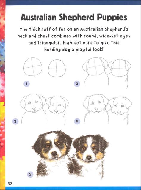Panacur is generally considered a very safe medication and is your veterinarian may have to adjust the dosage, and panacur is not recommended for puppies for instance, so make sure you follow his instructions to ensure that your dog receives the full benefit of. How to Draw Dogs & Puppies: Step-by-Step Instructions for ...