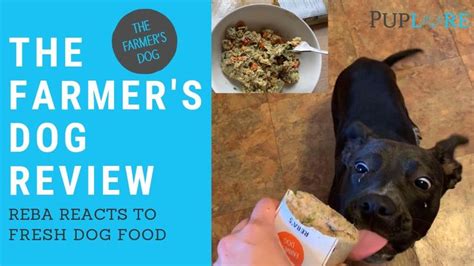 Nom nom fresh dog food review. The Farmer's Dog Review | Dog food delivery, Dog food ...