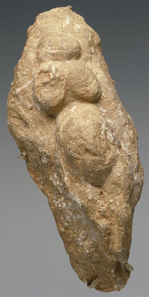paleolithic | Tumblr