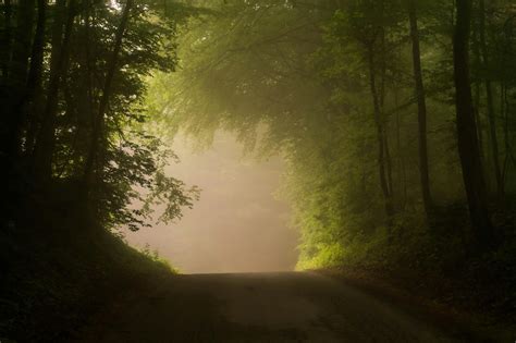 Dirt Road Near Green Forest · Free Stock Photo