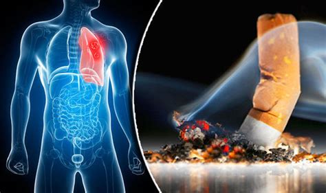 Why Is Smoking So Bad For You Researchers Reveal Why Cigarettes Damage Organs Uk