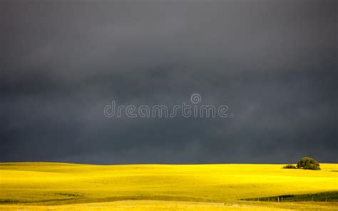 Prairie Storm Clouds Stock Image Image Of Natural Summer 35498527