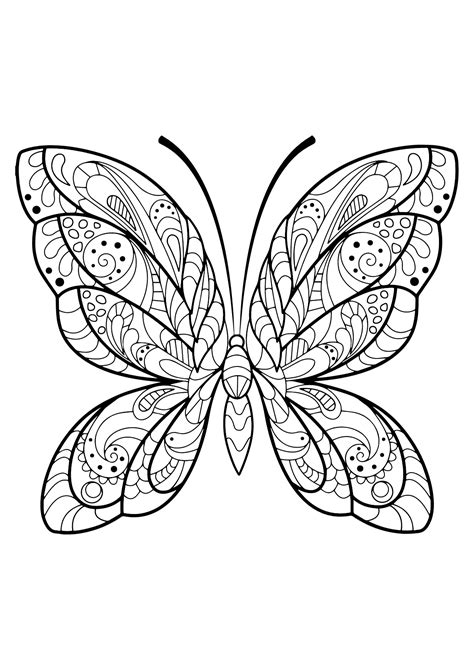 Papillons Papillons Insectes Coloriages Difficiles Pour Adultes My
