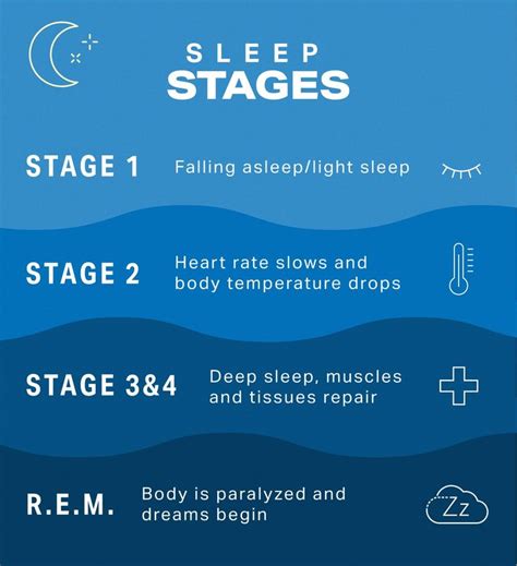 Understanding Sleep Cycles And How To Improve Sleep Sleep Cycle