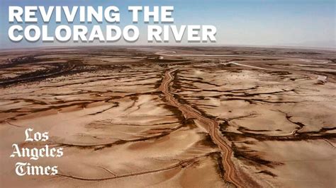 Water Is Flowing Again In Mexicos Dry Colorado River Delta Los