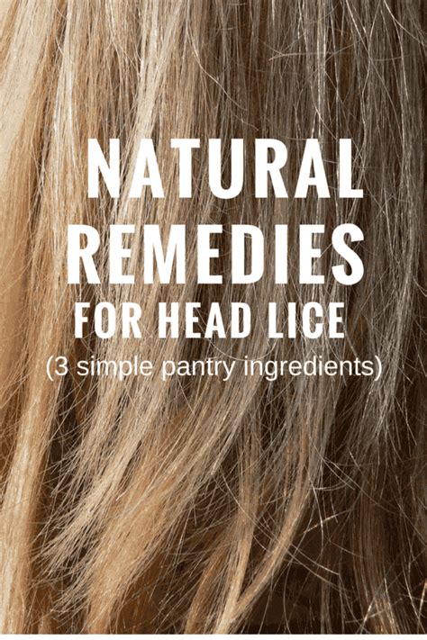 Both almond oil and olive oil are effective home remedies for lice, as they work to smother or suffocate lice, slowing them down to make them easier to remove with a comb. Natural Remedies for Head Lice