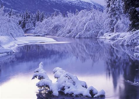Snow Background Hd Images Free Download Photo Wallpapers Winter Background On The Desktop The