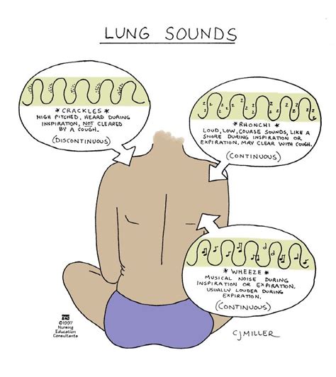 Lung Sounds Nursing Mnemonics Nursing Assessment Nurse