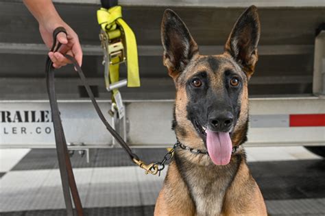 Dvids Images K9s Of Maritime Safety And Security Team Houston