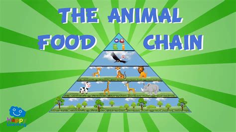 Food chain length is another way of describing food webs as a measure of the number of species encountered as energy or nutrients move from the plants to top predators.: The Animal Food Chain | Educational Video for Kids - YouTube