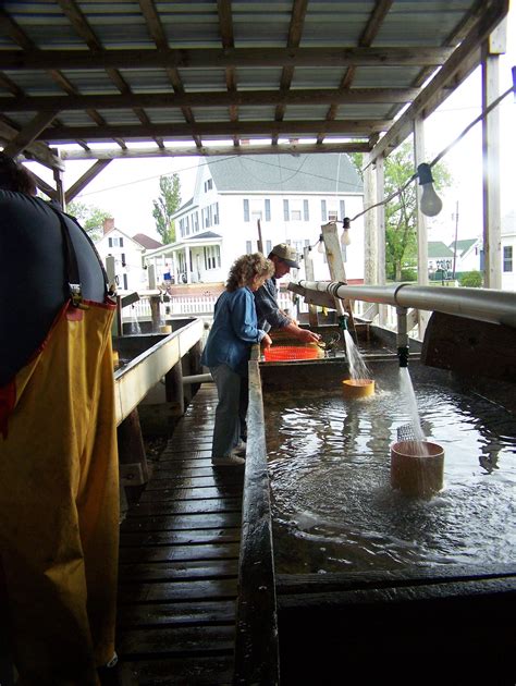 Tangier Island Photos by Virginia Taylor and Neil Kaye | Chincoteague