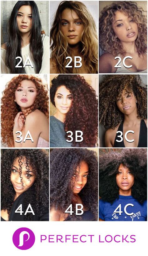 Hair Types Finding Your Texture Elevate Your Style Transform Your Life
