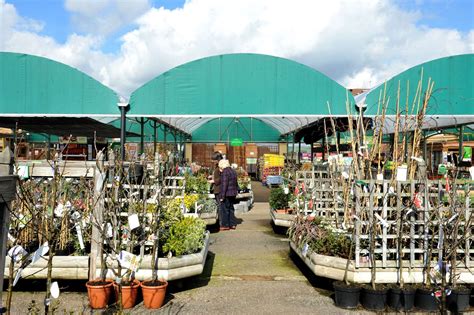 The best garden furniture to buy now. Bury St Edmunds Marlows Home and Garden Centre to close ...
