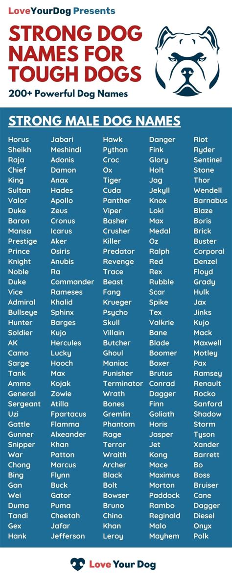Tough Dog Names 200 Strong And Powerful Names For Male Dogs Dog Names
