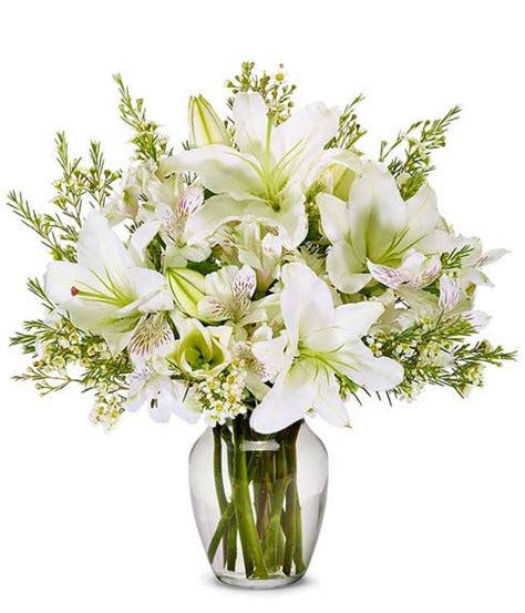 Lovely White Lily Arrangement At Send Flowers