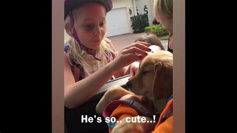 Kids Have Emotional Response To New Puppy Surprise Compilation Youtube