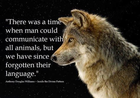 Quotes About Native American Wolf Quotesgram