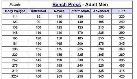 weight bench exercise chart pdf