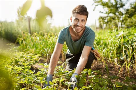 Que Debes Saber Antes De Contratar A Un Jardinero En Viladecans